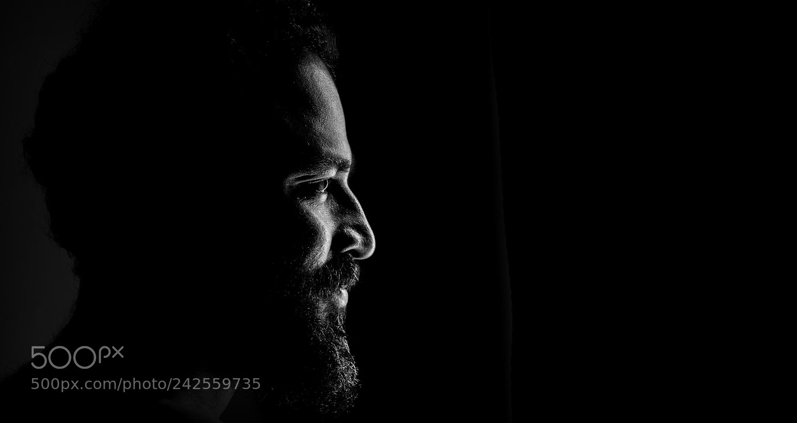 Sony a7 II sample photo. In the dark photography