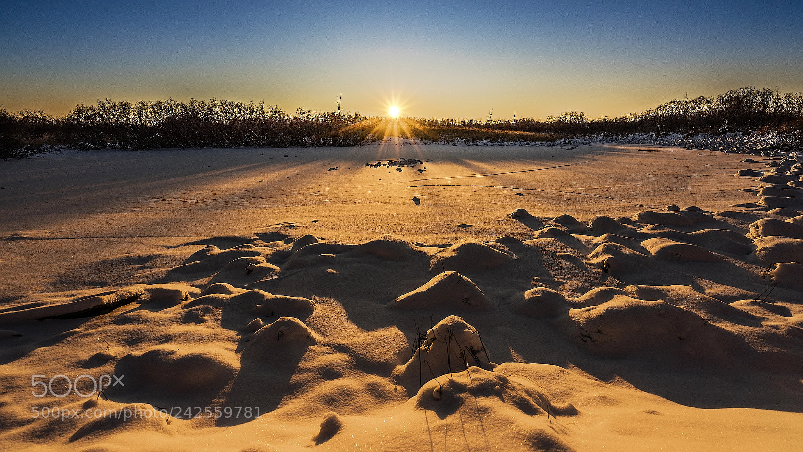 Sony a7R sample photo. Winter evening. photography