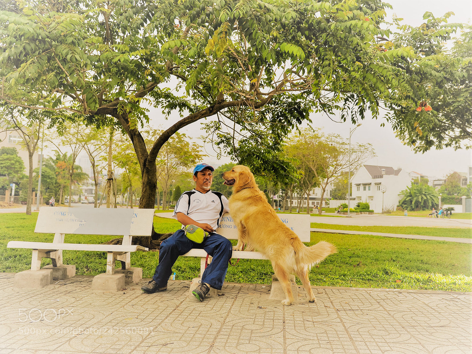 Nikon D700 sample photo. Friends photography