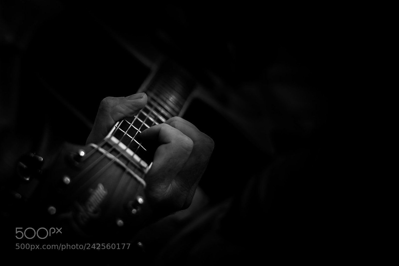 Nikon D610 sample photo. Striking a chord photography