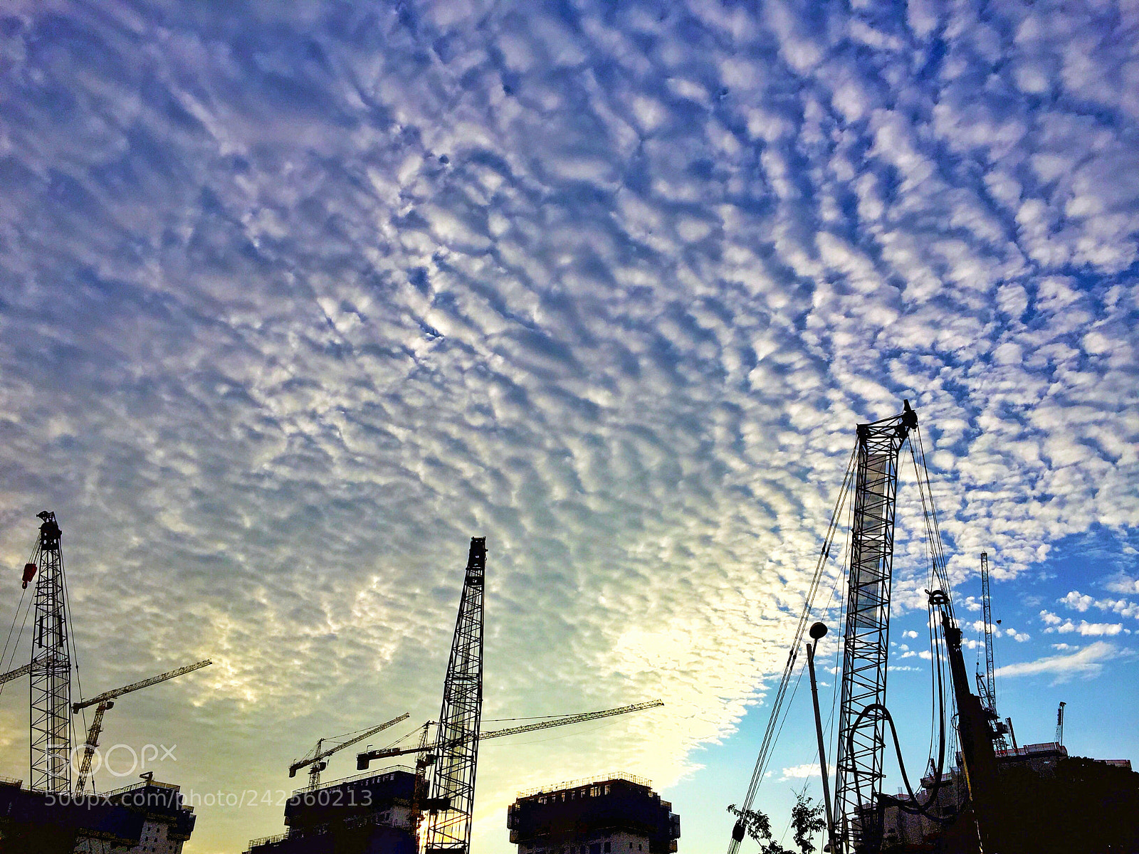 Apple iPhone 6 sample photo. Sky cloud photography
