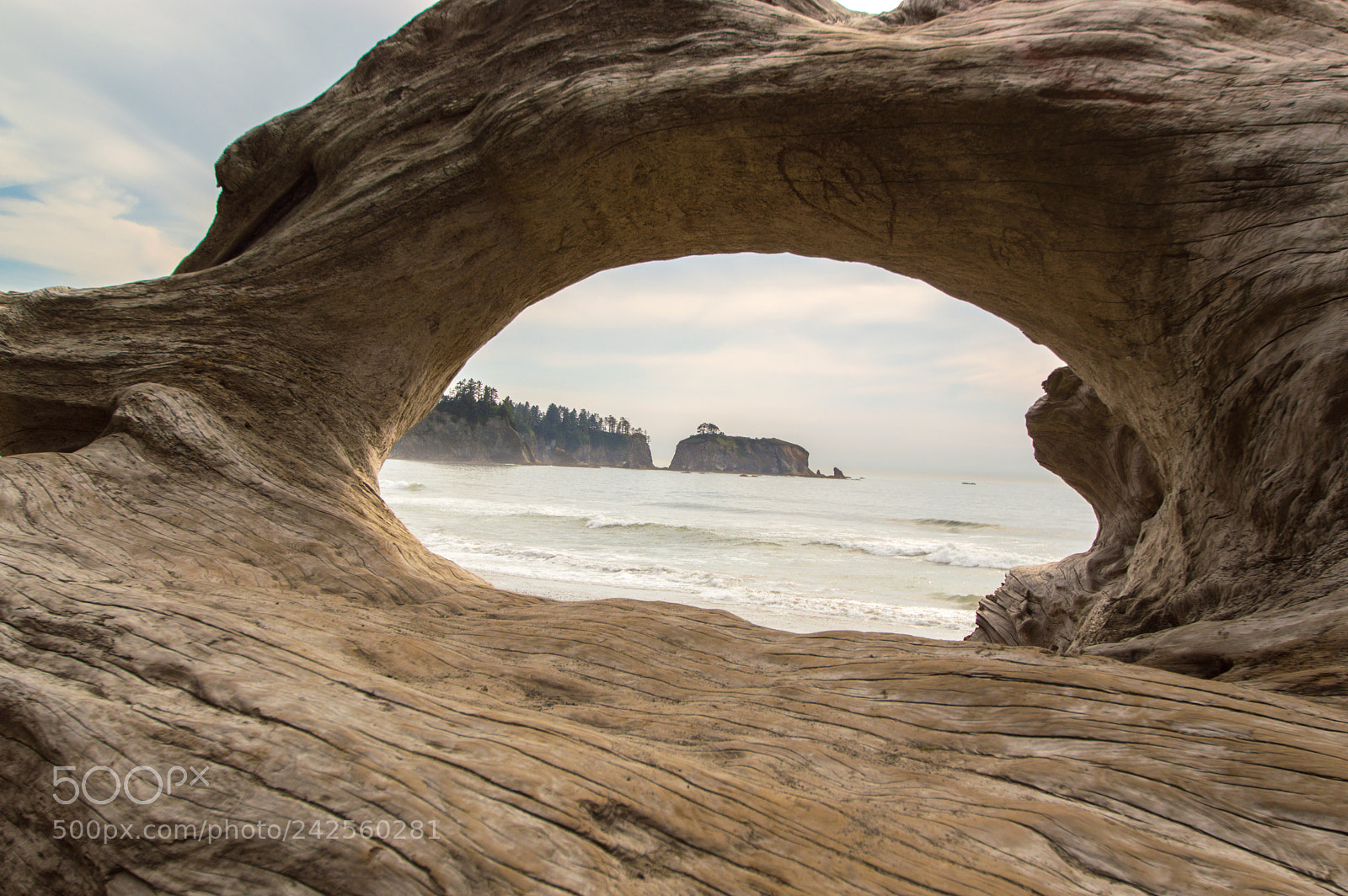 Nikon D3200 sample photo. Rialto beach view photography