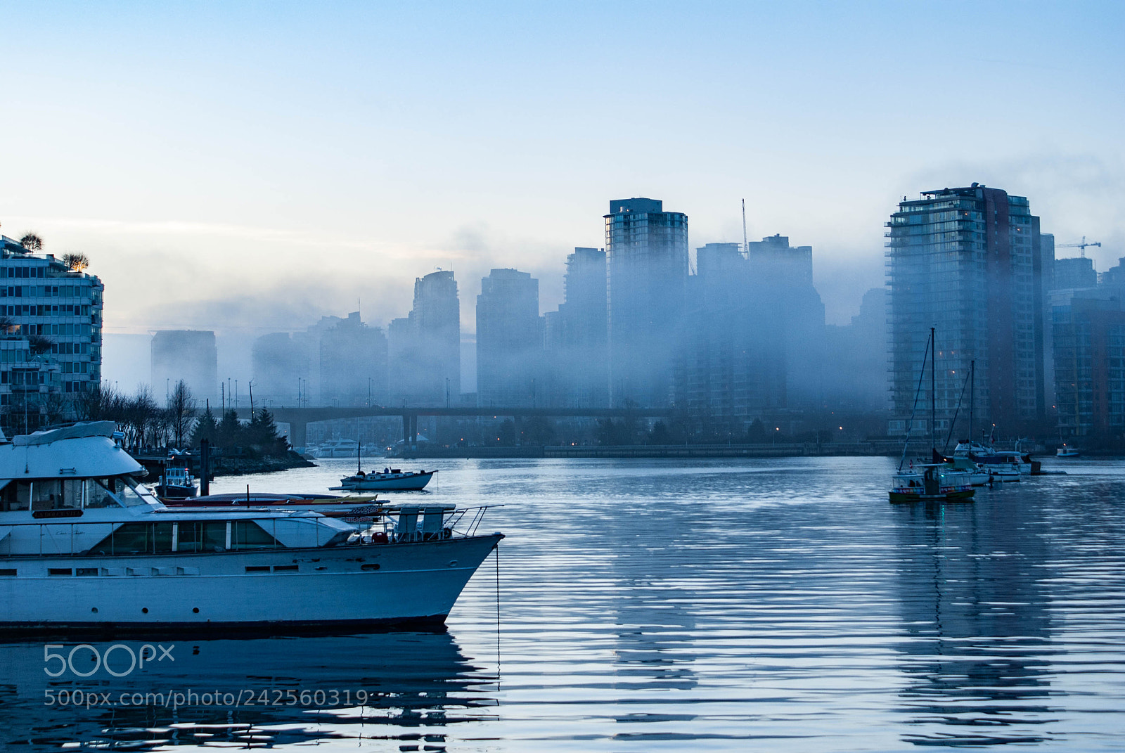 Sony Alpha DSLR-A200 sample photo. Misty morning 4 photography
