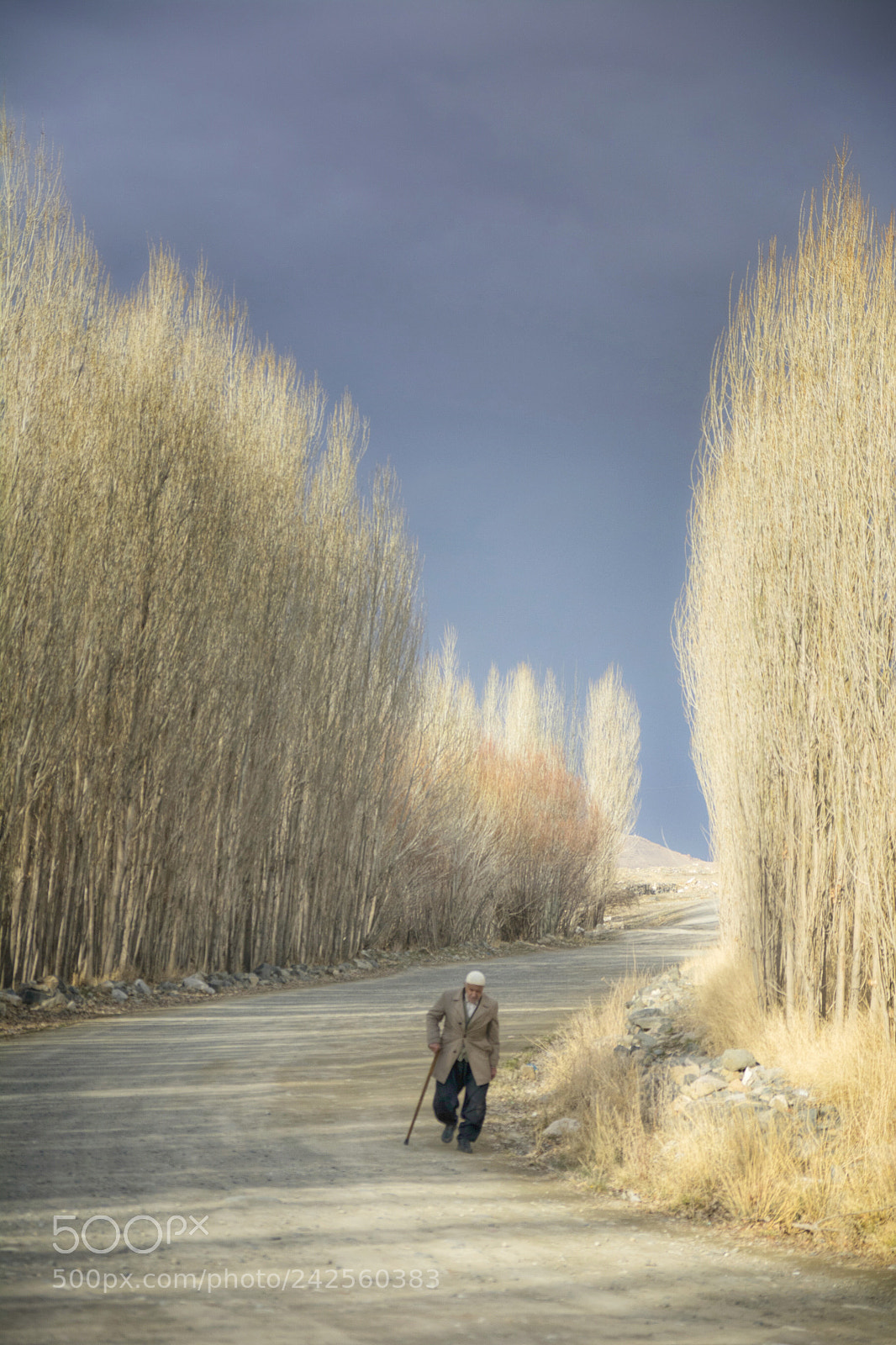 Nikon D7100 sample photo. Untitled photography