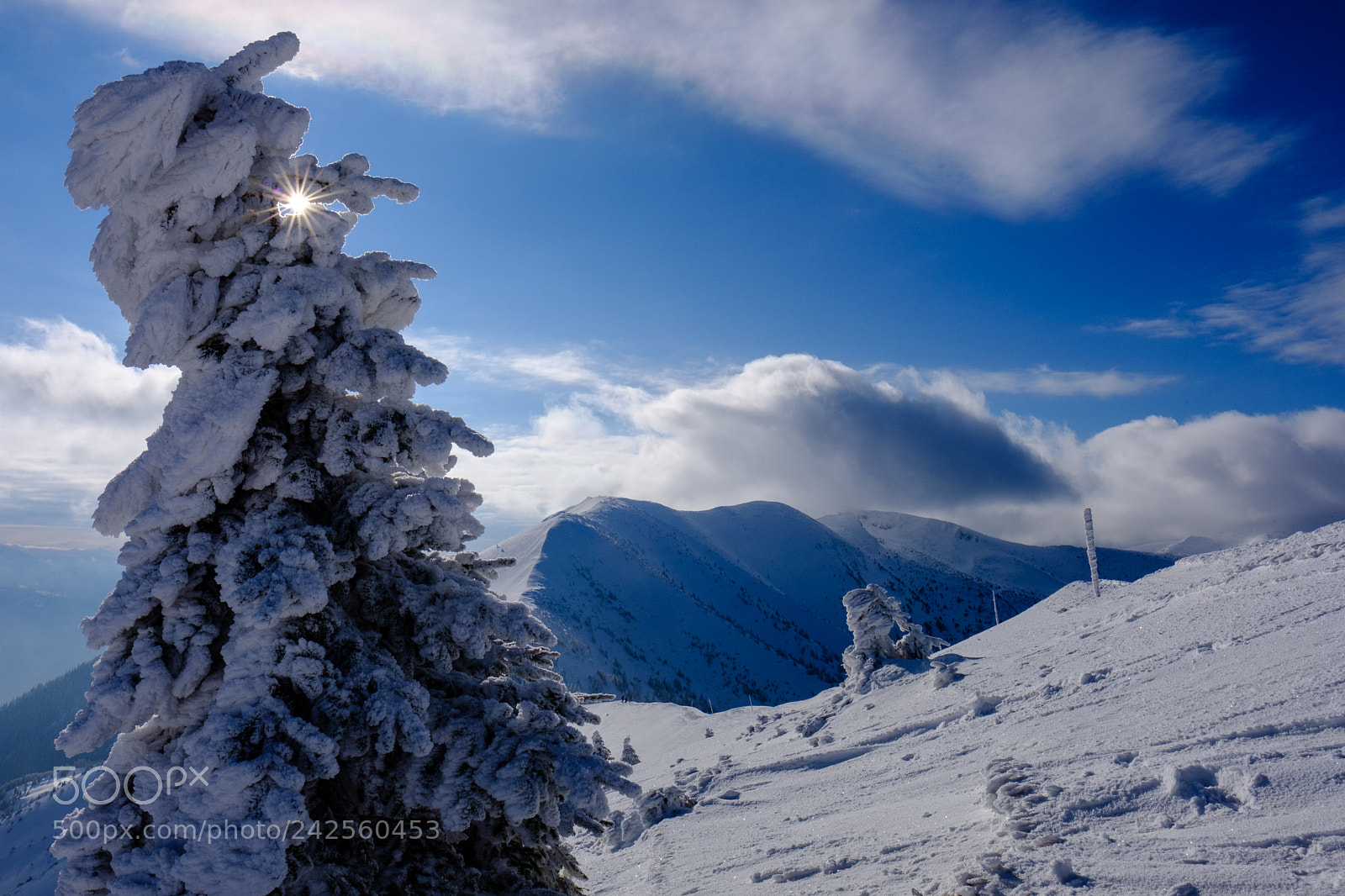 Fujifilm X-T20 sample photo. Winter photography