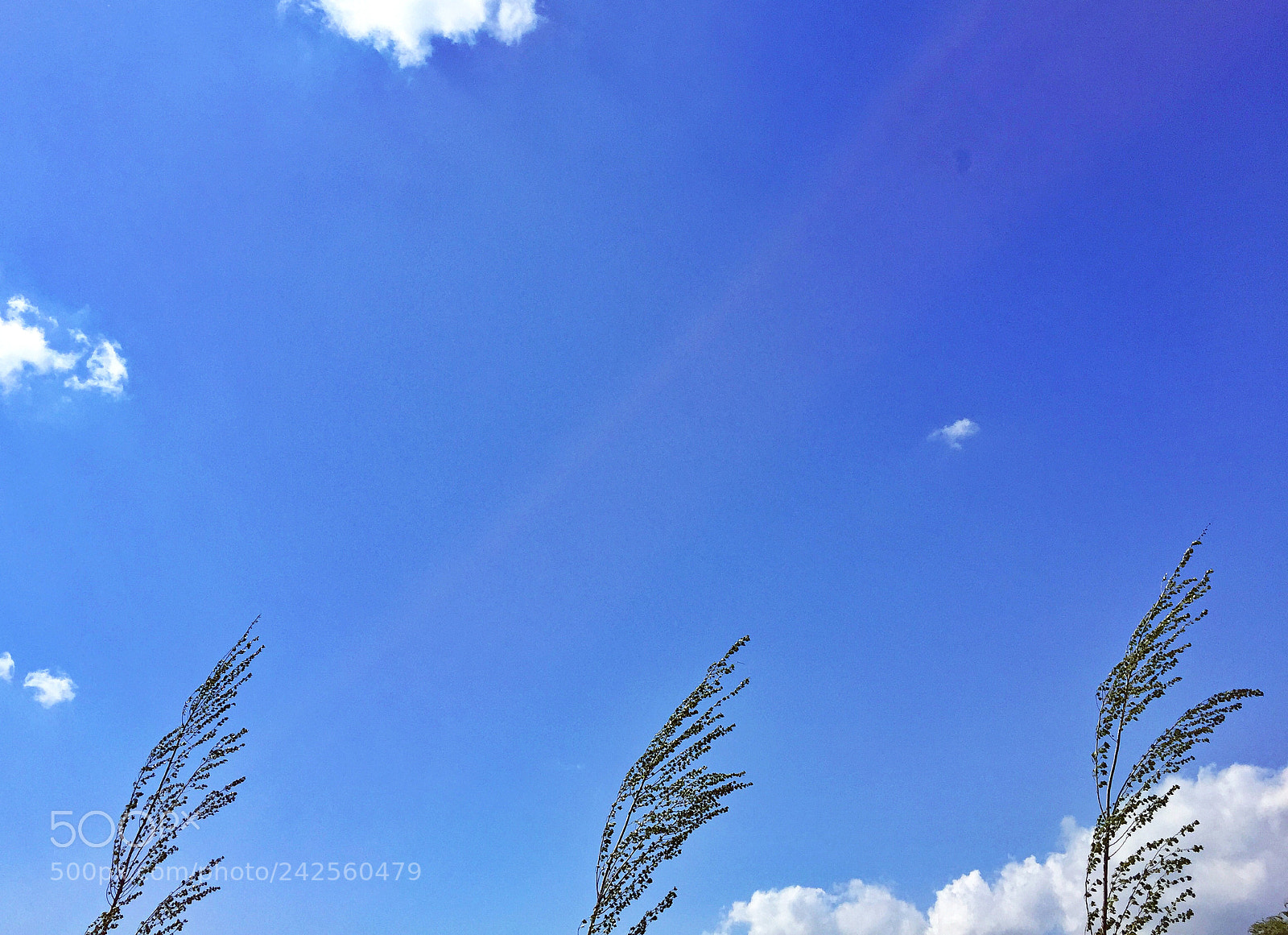 Apple iPhone 6 sample photo. Sky hay photography