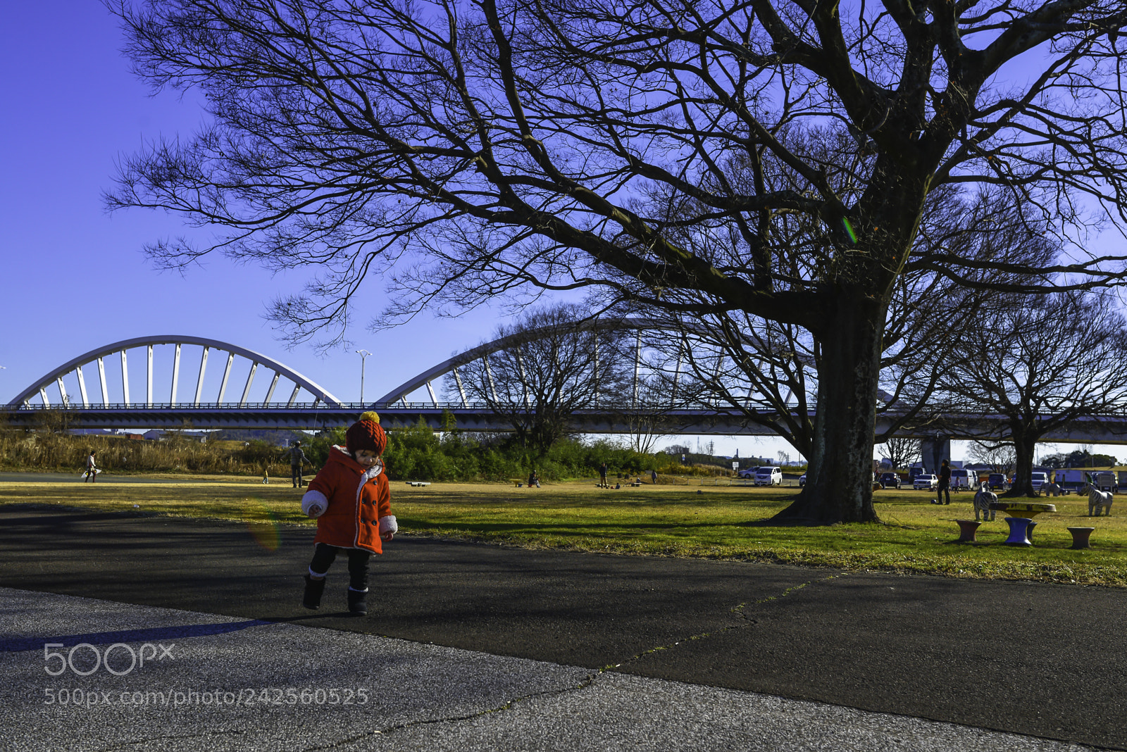 Nikon D610 sample photo. Free photography