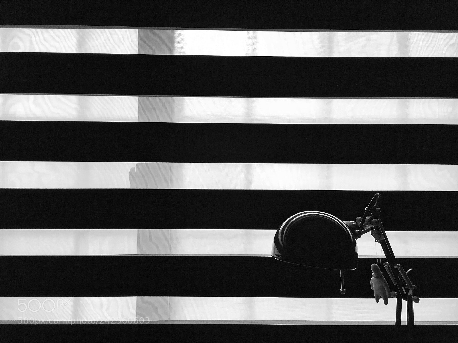 Apple iPhone 6 sample photo. Black or white photography