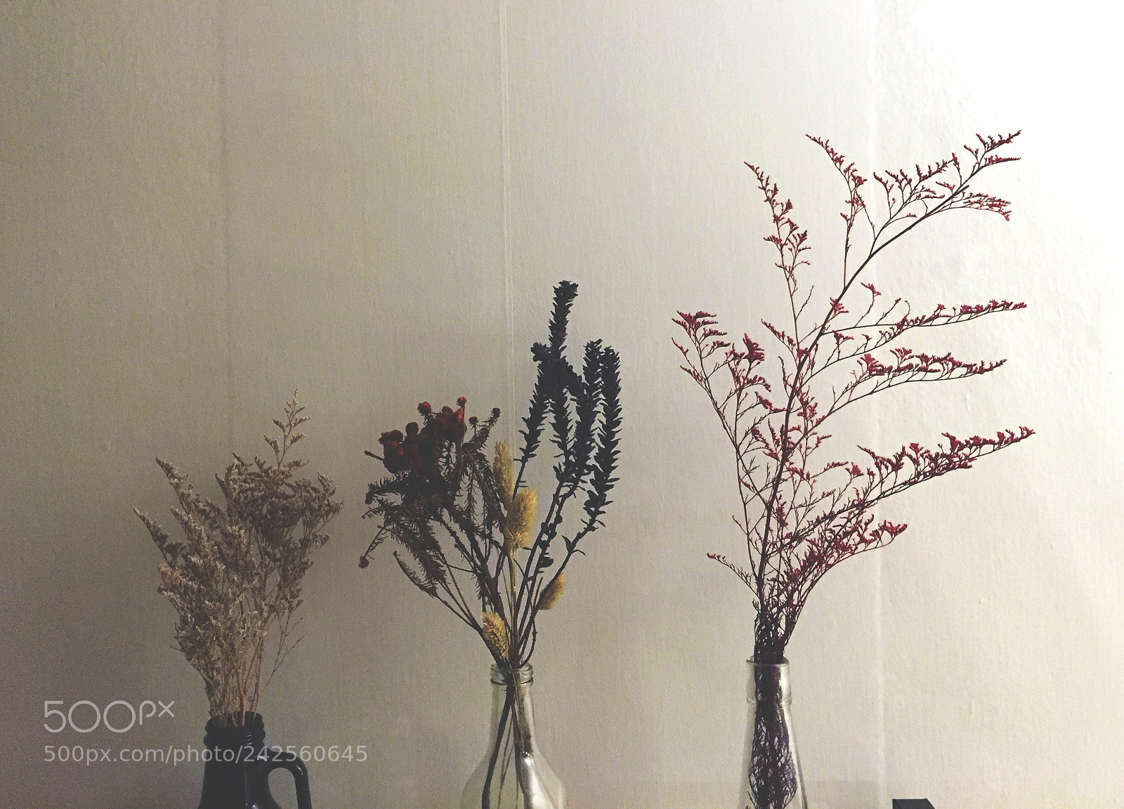 Apple iPhone 6 sample photo. Dry flower photography