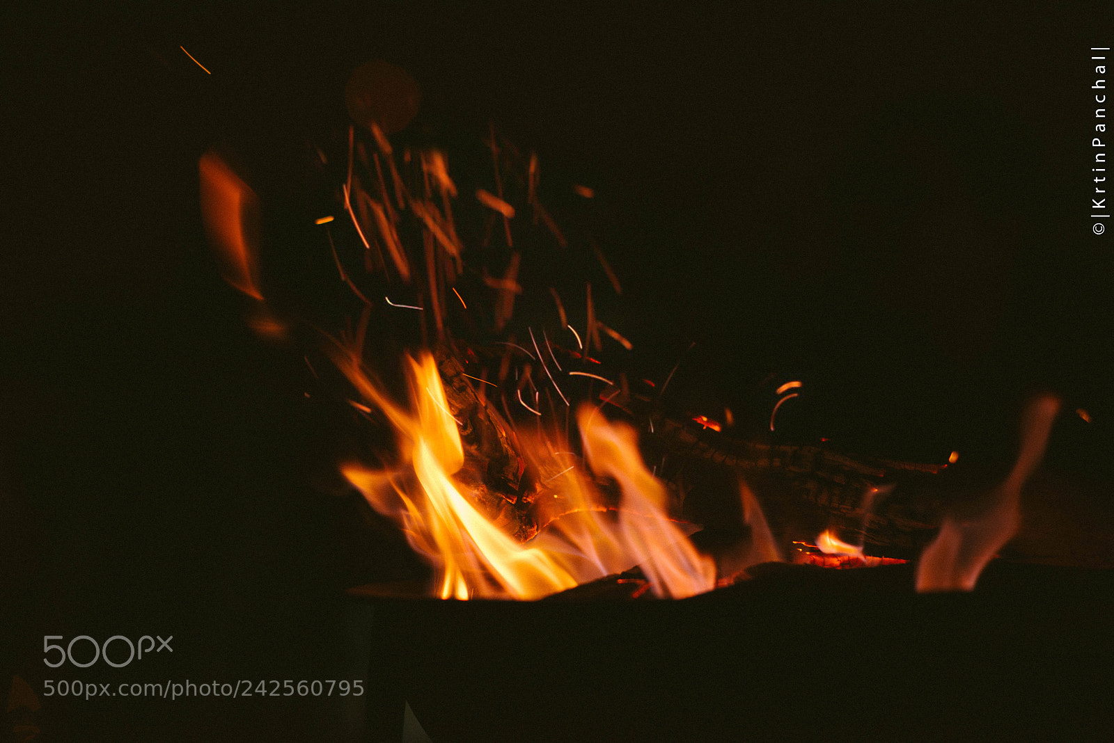 Nikon D800 sample photo. Untitled photography