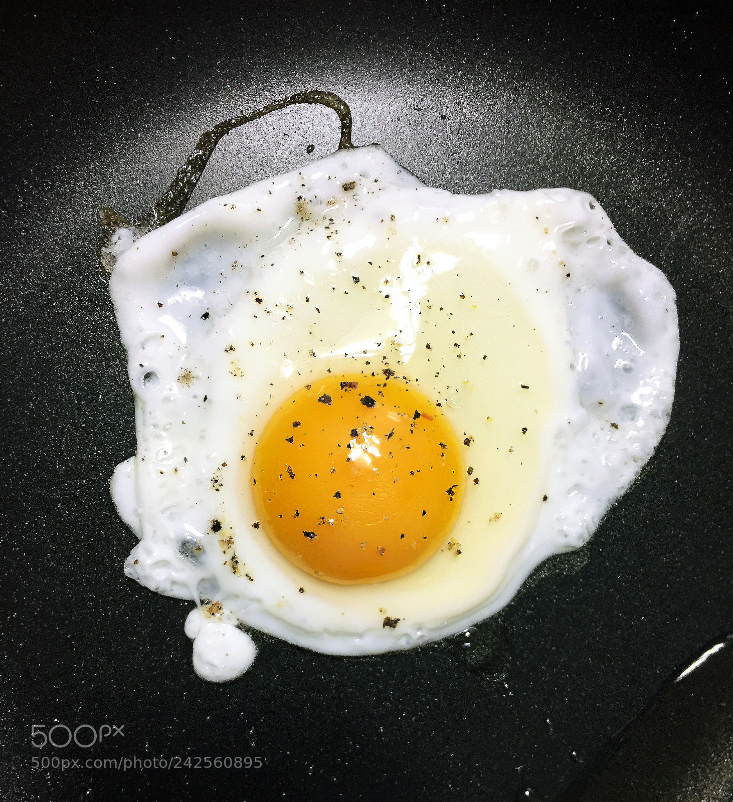 Apple iPhone 6 sample photo. Egg york photography