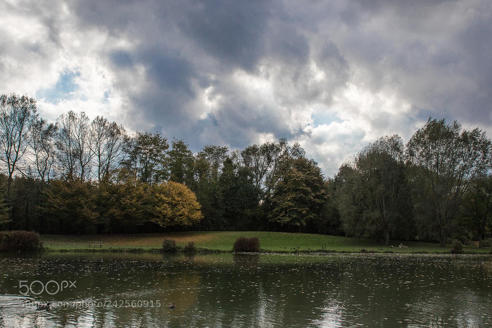 Canon EOS 7D Mark II sample photo. Ha photography