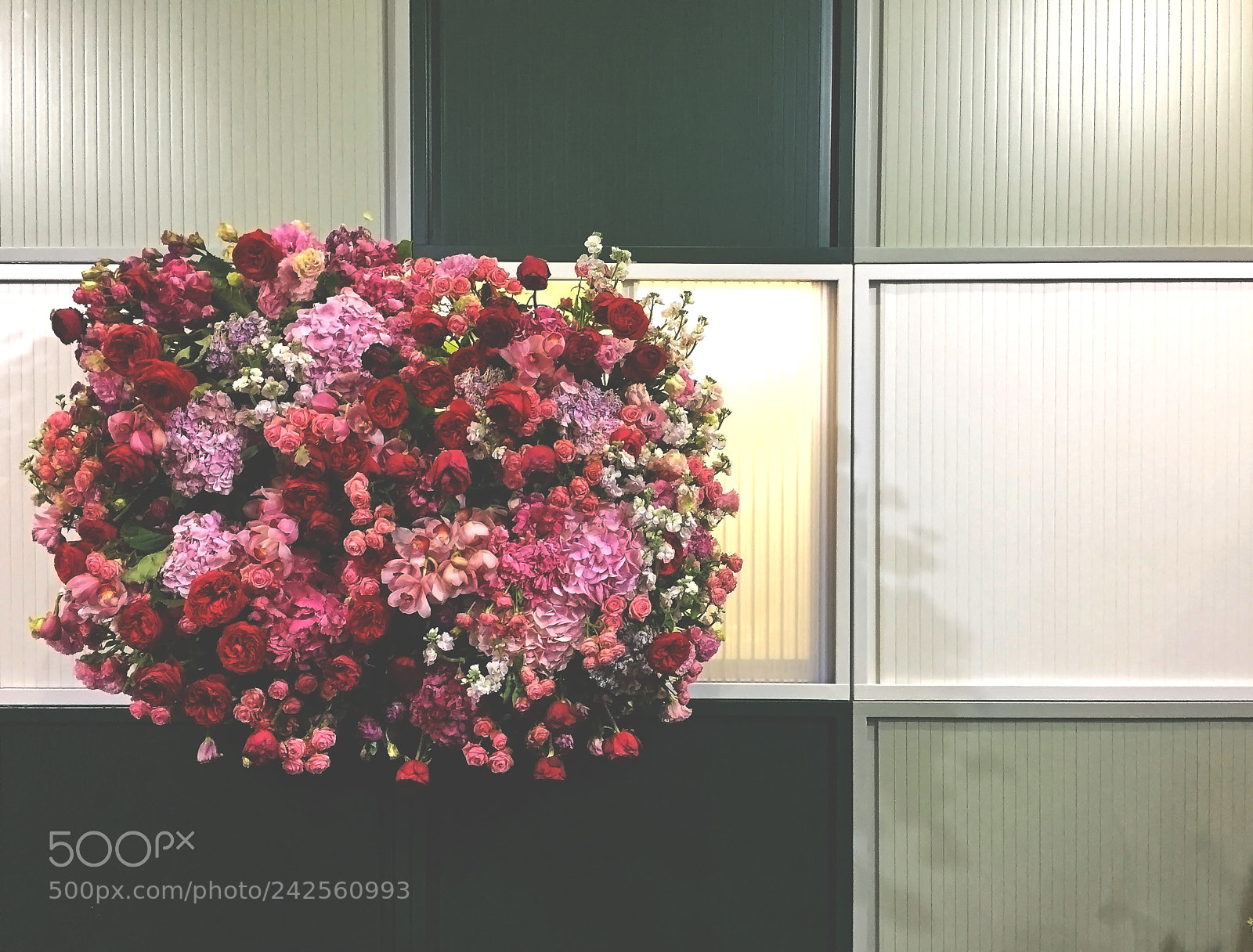 Apple iPhone 6 sample photo. Flower square photography