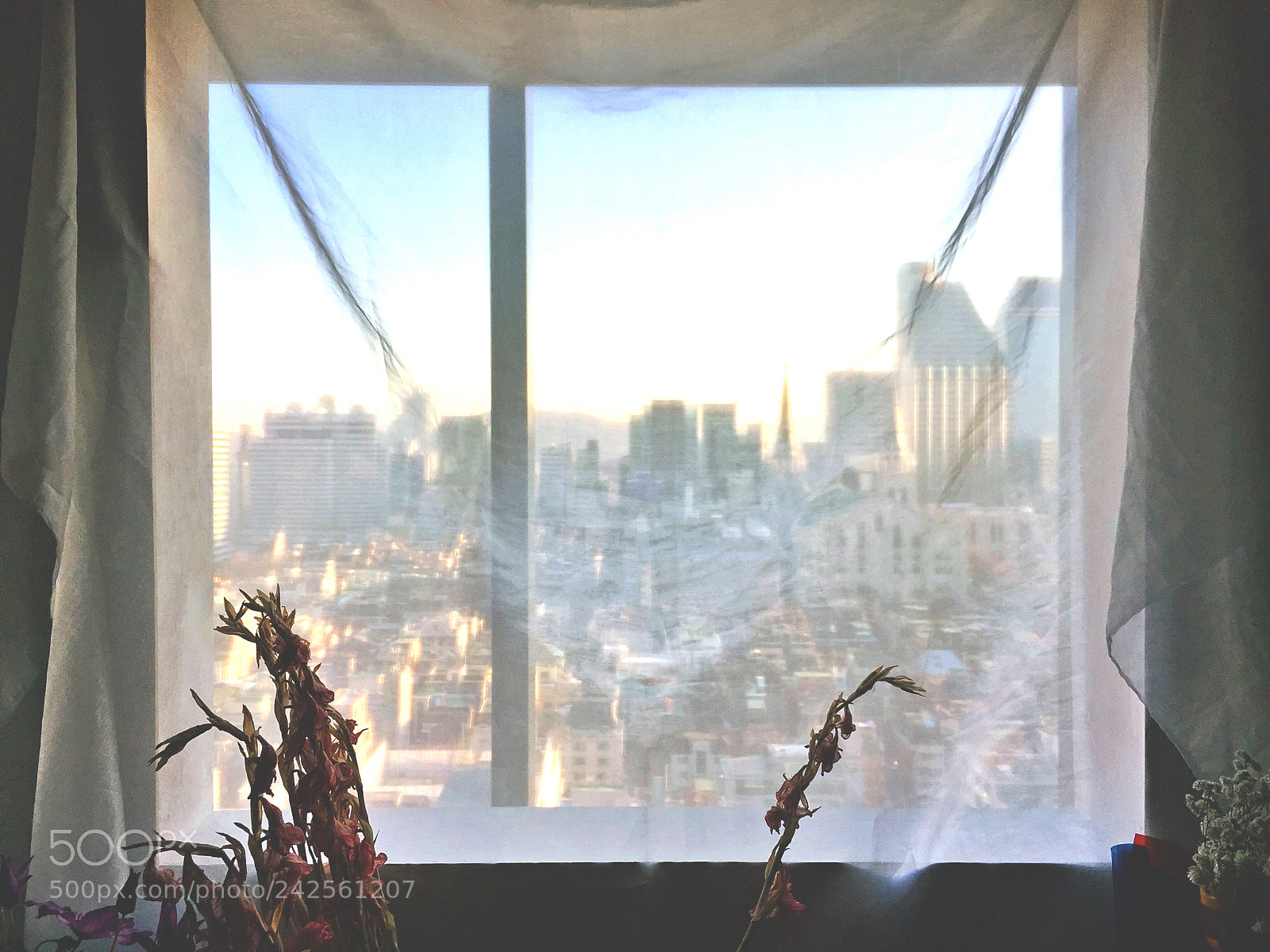 Apple iPhone 6 sample photo. Window curtain white photography