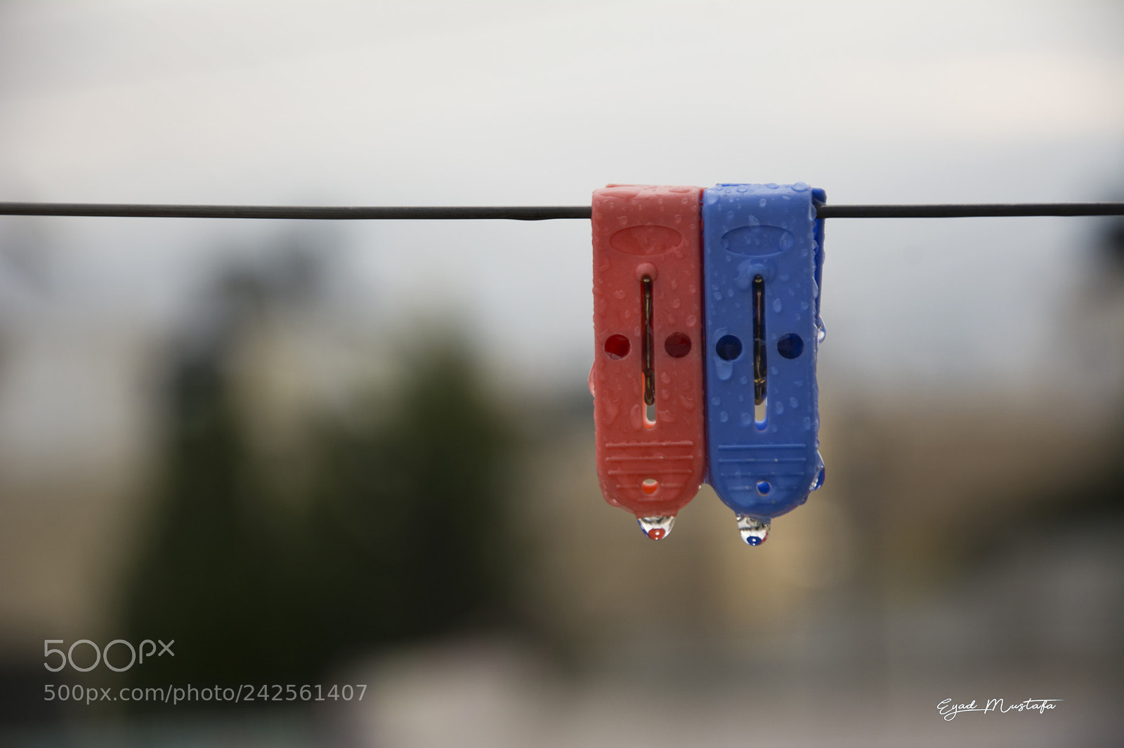 Nikon D7100 sample photo. Together forever, no matter photography