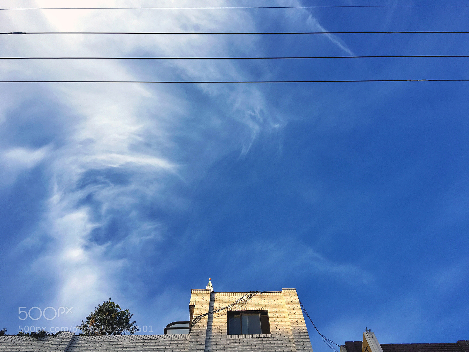 Apple iPhone 6 sample photo. Live wire photography