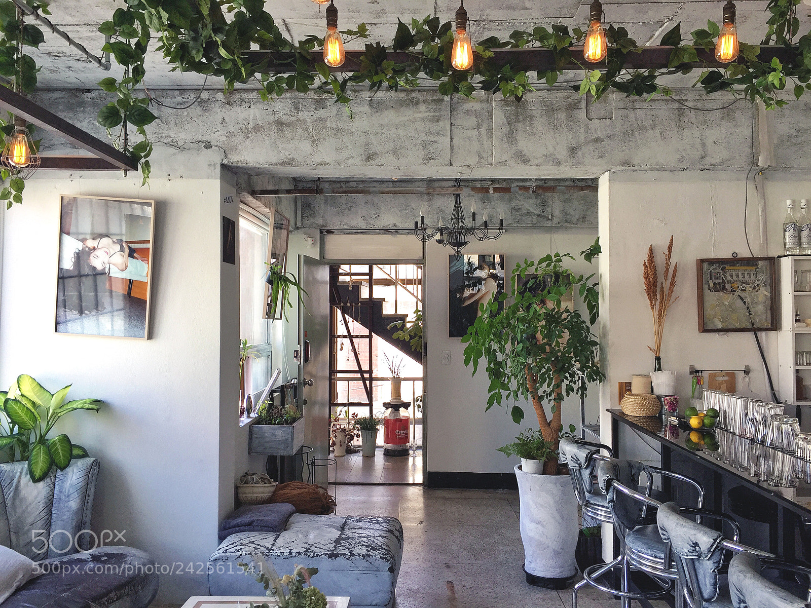 Apple iPhone 6 sample photo. Anox coffee photography