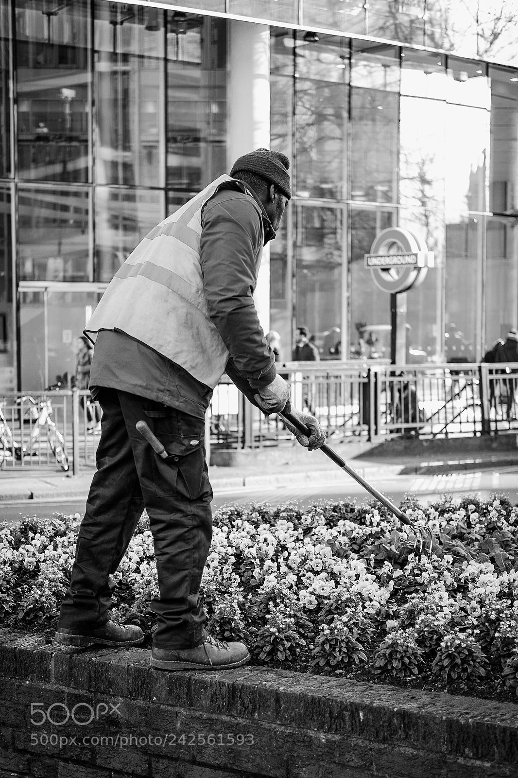 Fujifilm X-Pro1 sample photo. Untitled photography