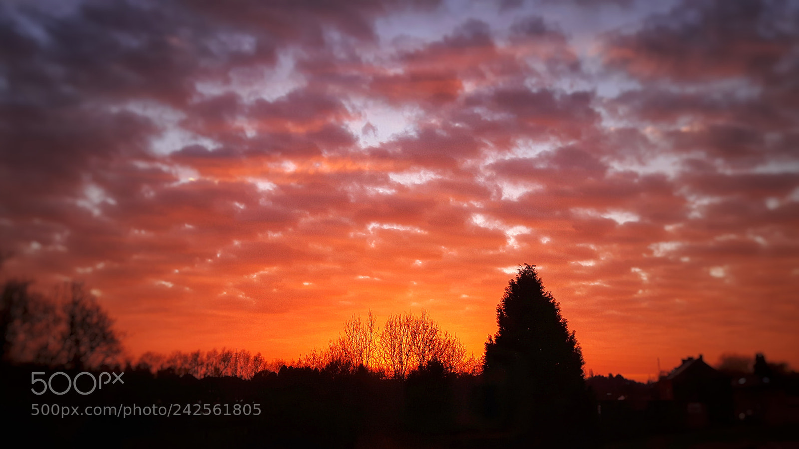 Samsung Galaxy S5 Neo sample photo. Sunday sunset photography