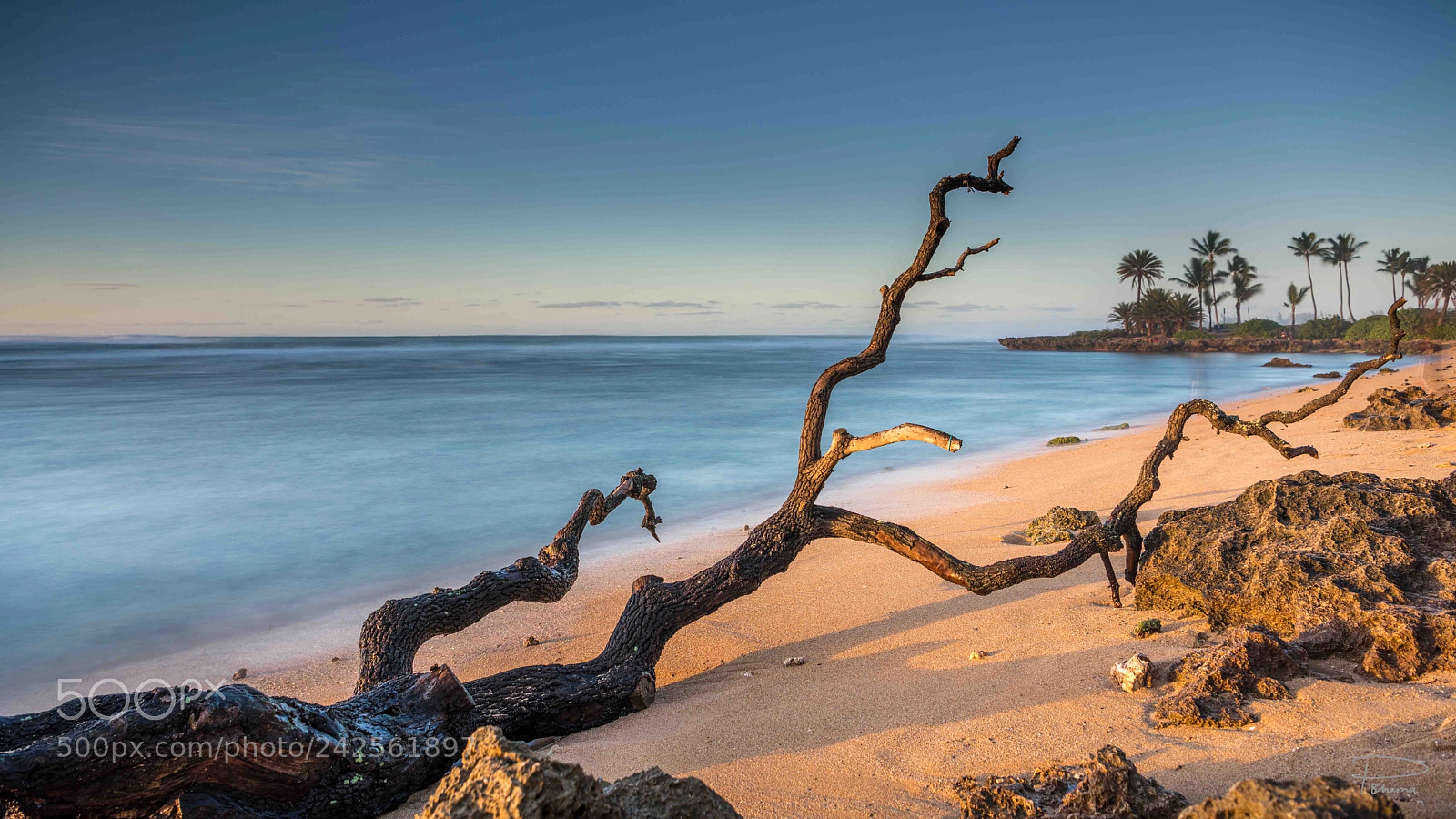 Nikon D850 sample photo. Haleiwa photography