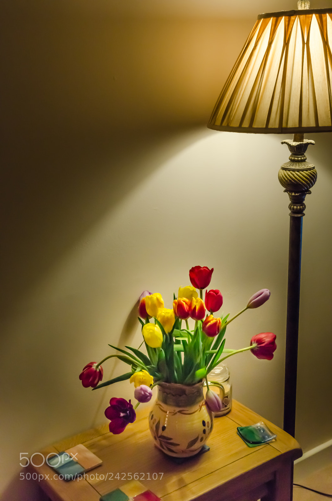 Nikon D5100 sample photo. Tulips and lamp photography