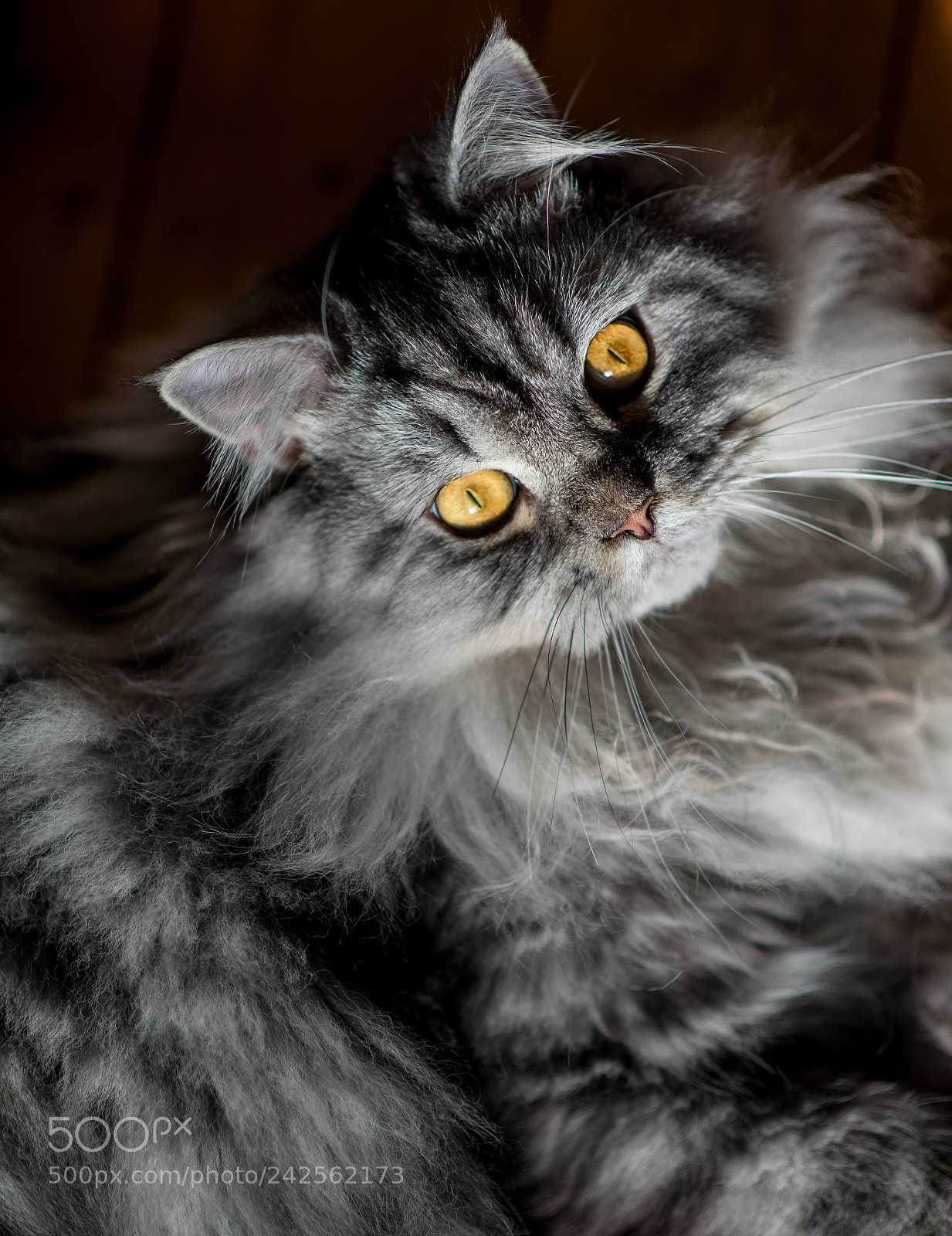 Nikon D600 sample photo. Glowing in the dark photography