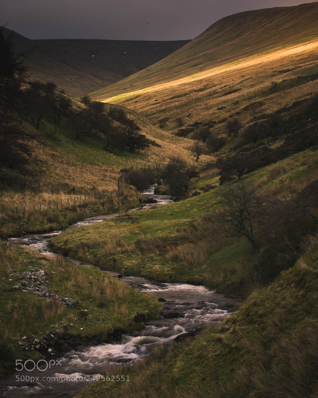 Nikon D7200 sample photo. River cutting through the photography