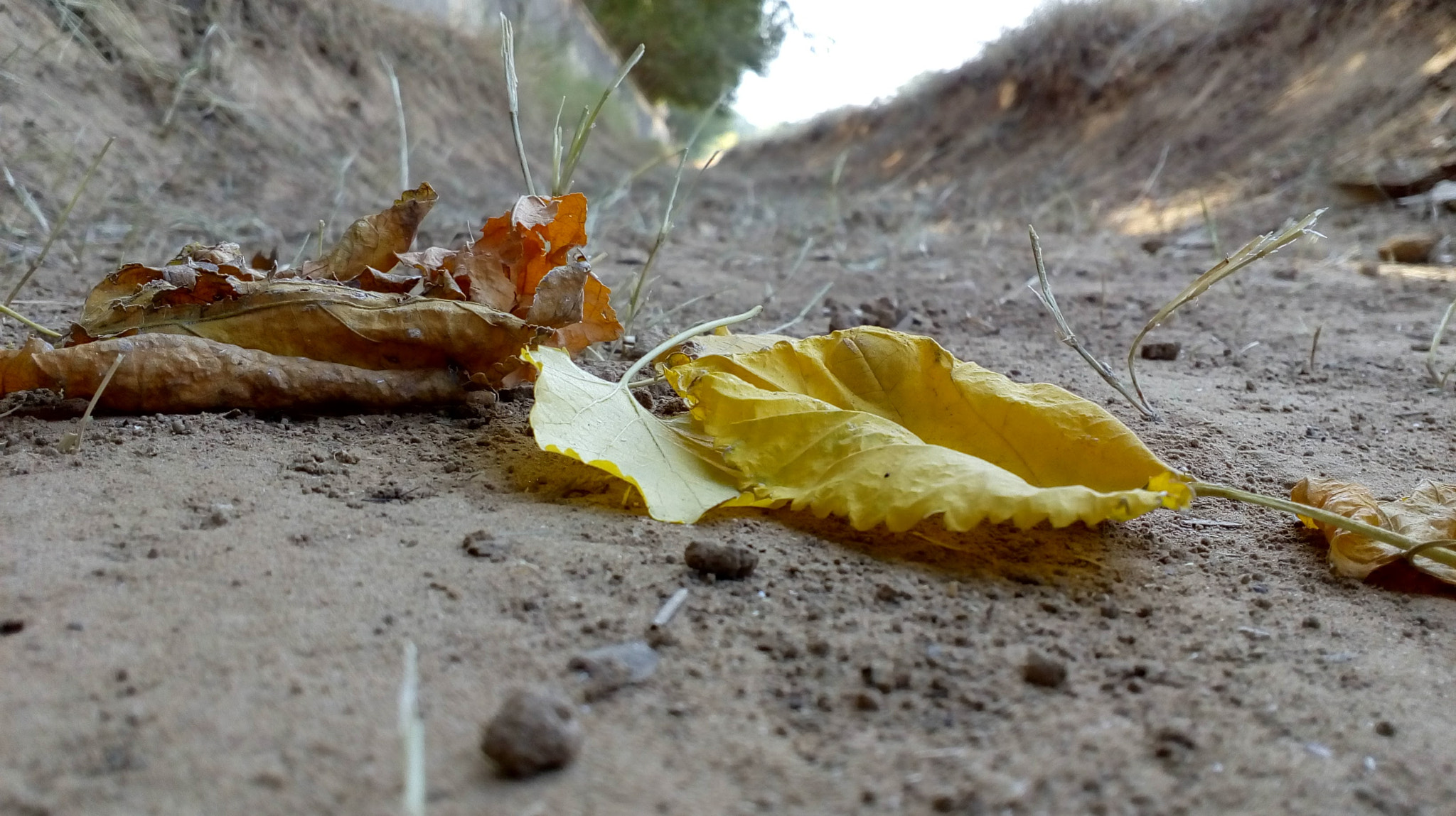 Motorola Moto E3 Power sample photo