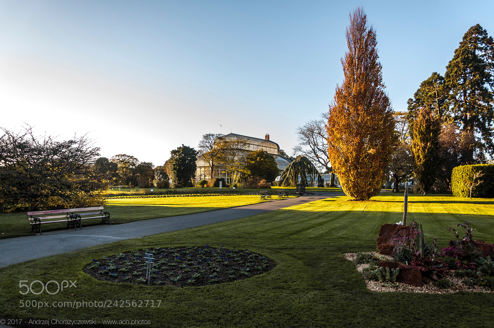 Nikon D90 sample photo. 2017 botanic garden, dublin photography