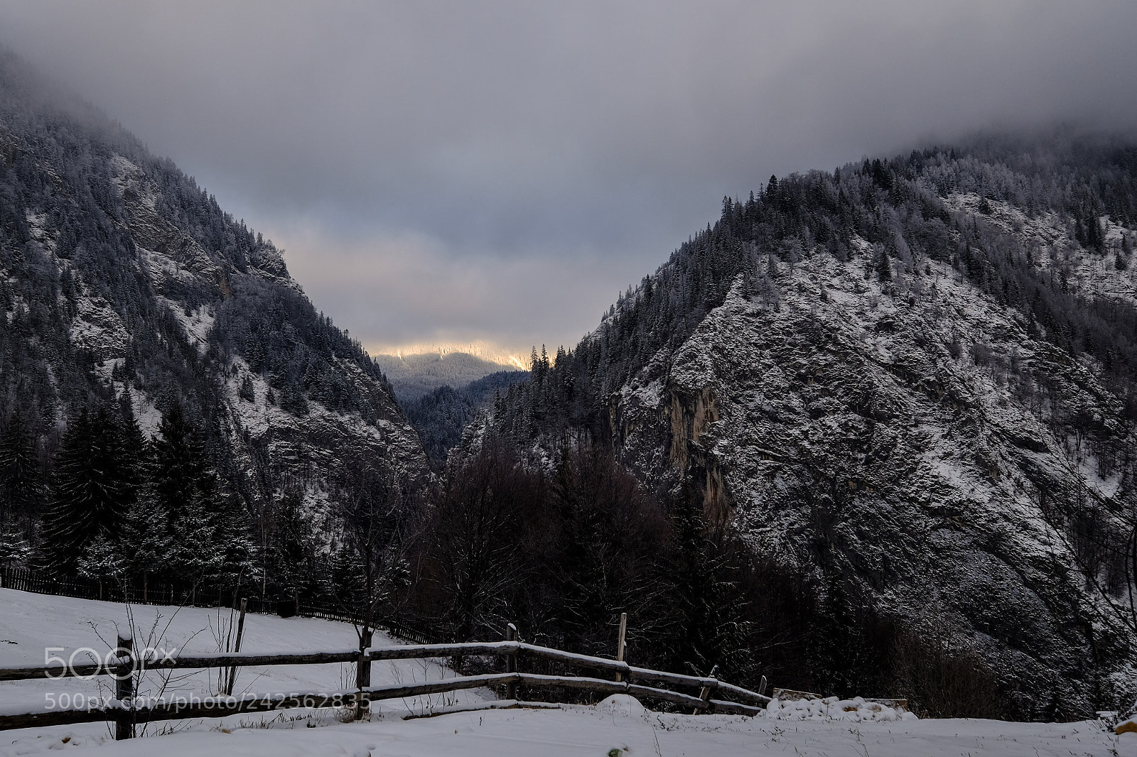 Fujifilm X-T1 sample photo. A new day photography