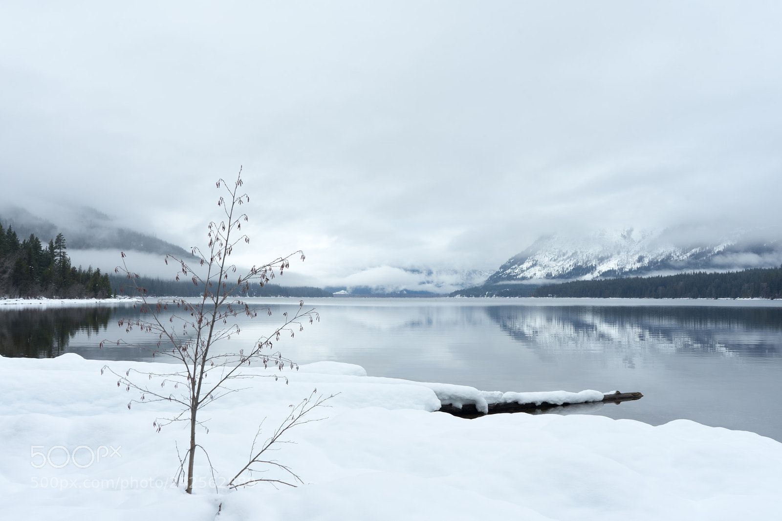 Sony a7 II sample photo. . photography