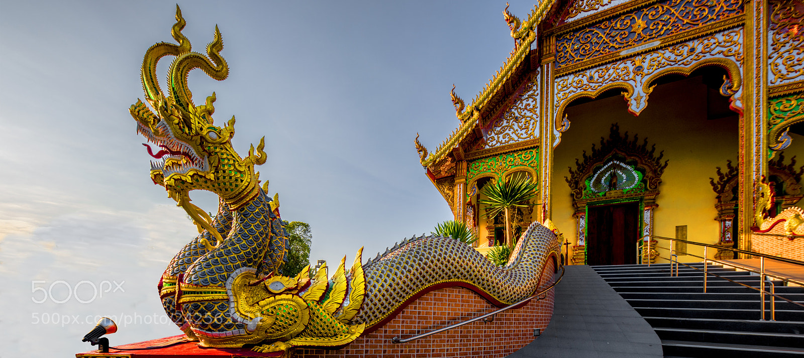 Nikon D850 sample photo. Encore un dragon photography