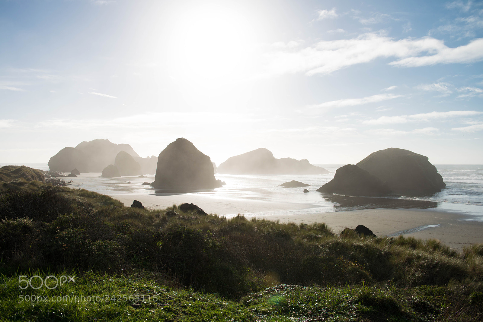 Nikon D800 sample photo. Pacific road photography