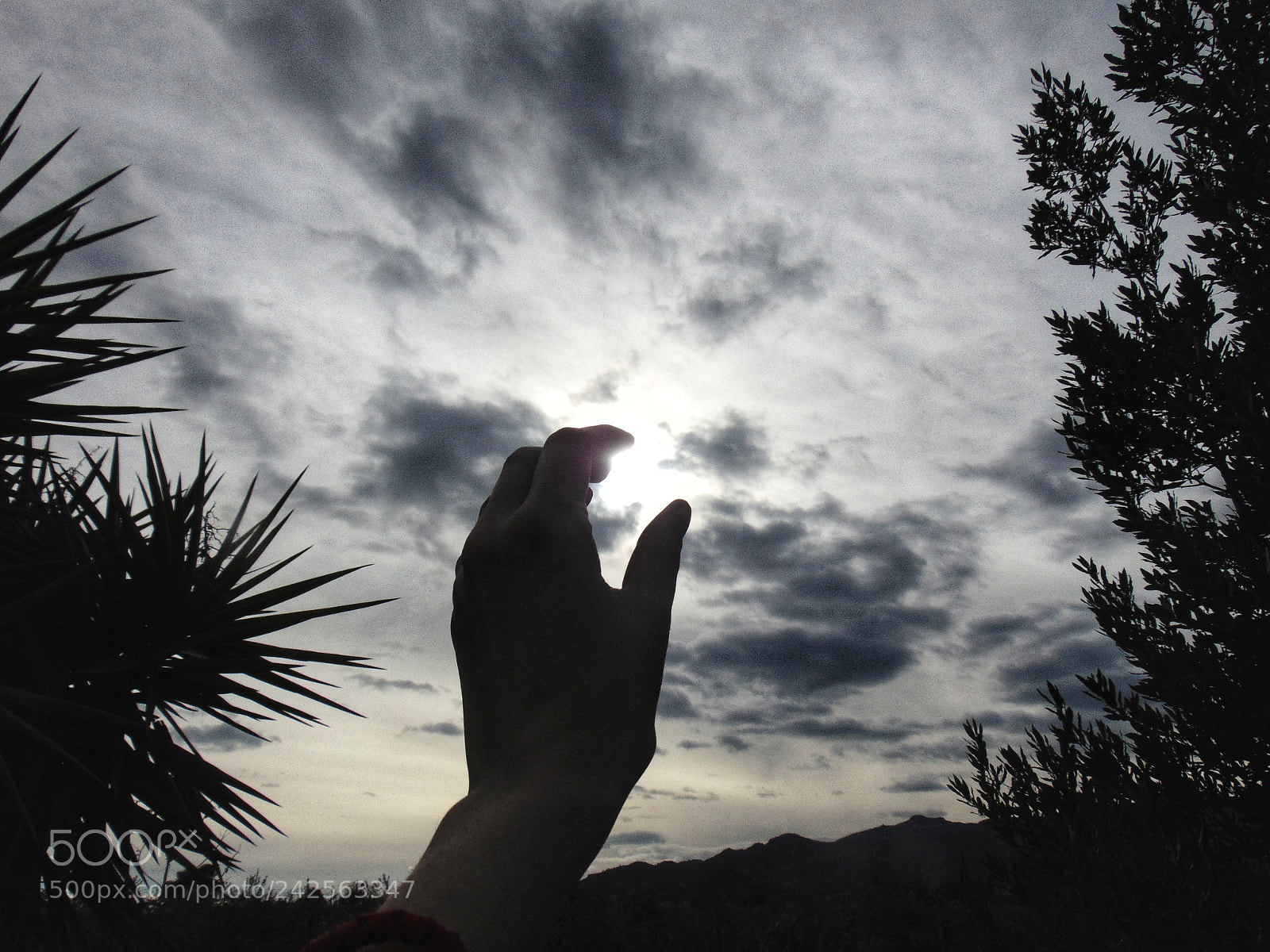 Sony Cyber-shot DSC-H300 sample photo. Peace photography