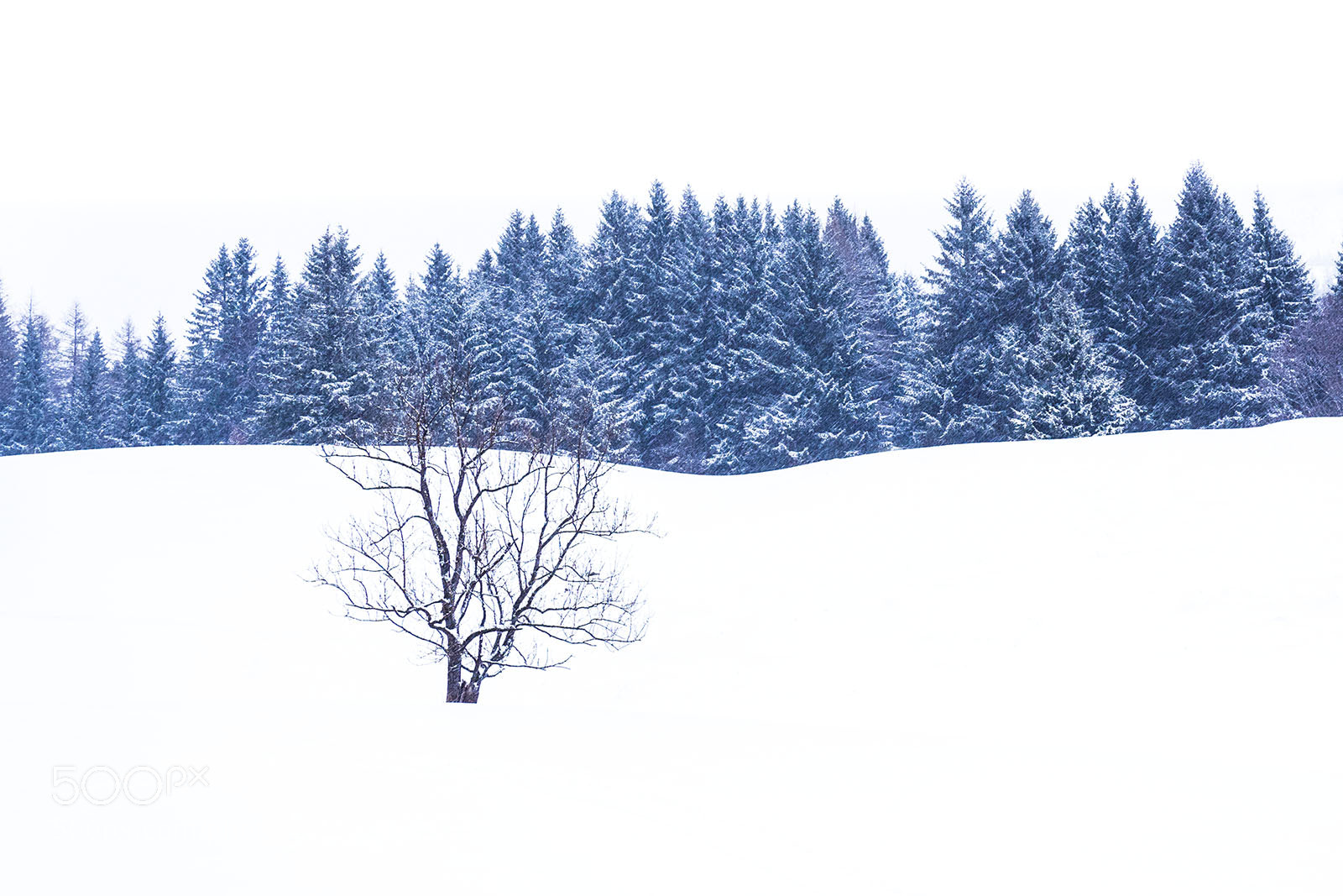 Olympus OM-D E-M5 II sample photo. Winter in styria photography