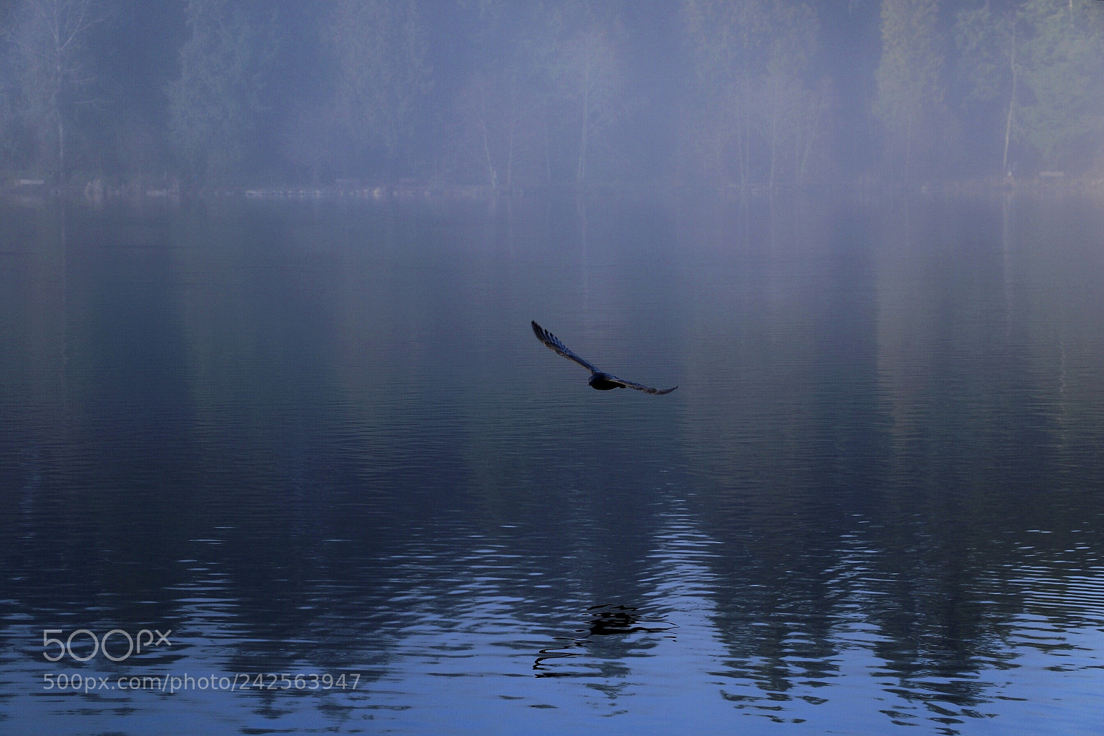 Canon EOS 7D Mark II sample photo. Untitled photography