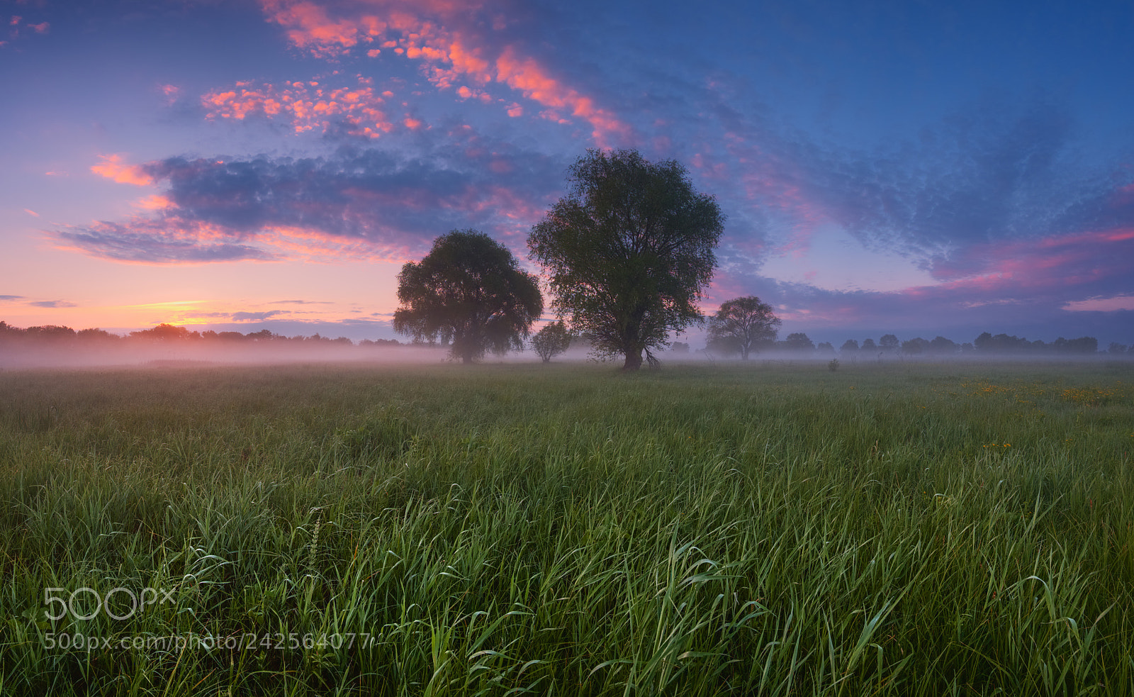 Fujifilm X-E1 sample photo. One early may morning .. photography