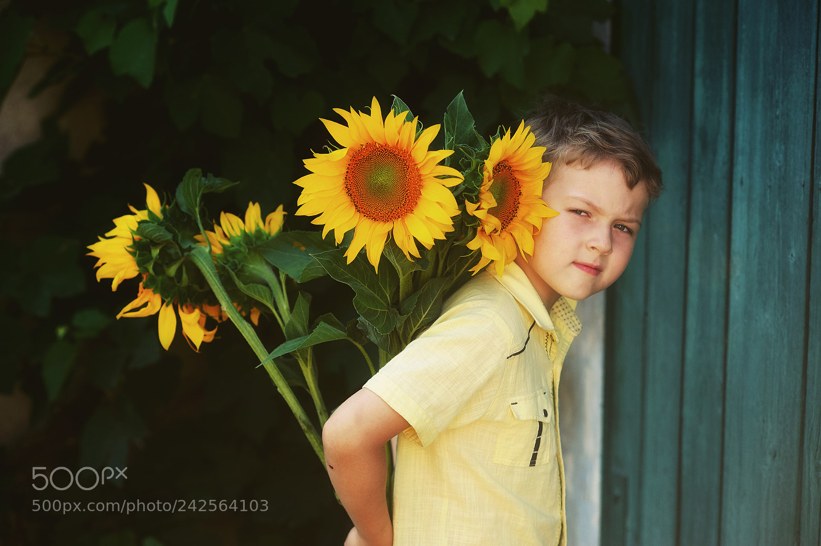 Nikon D700 sample photo. A boy with a photography