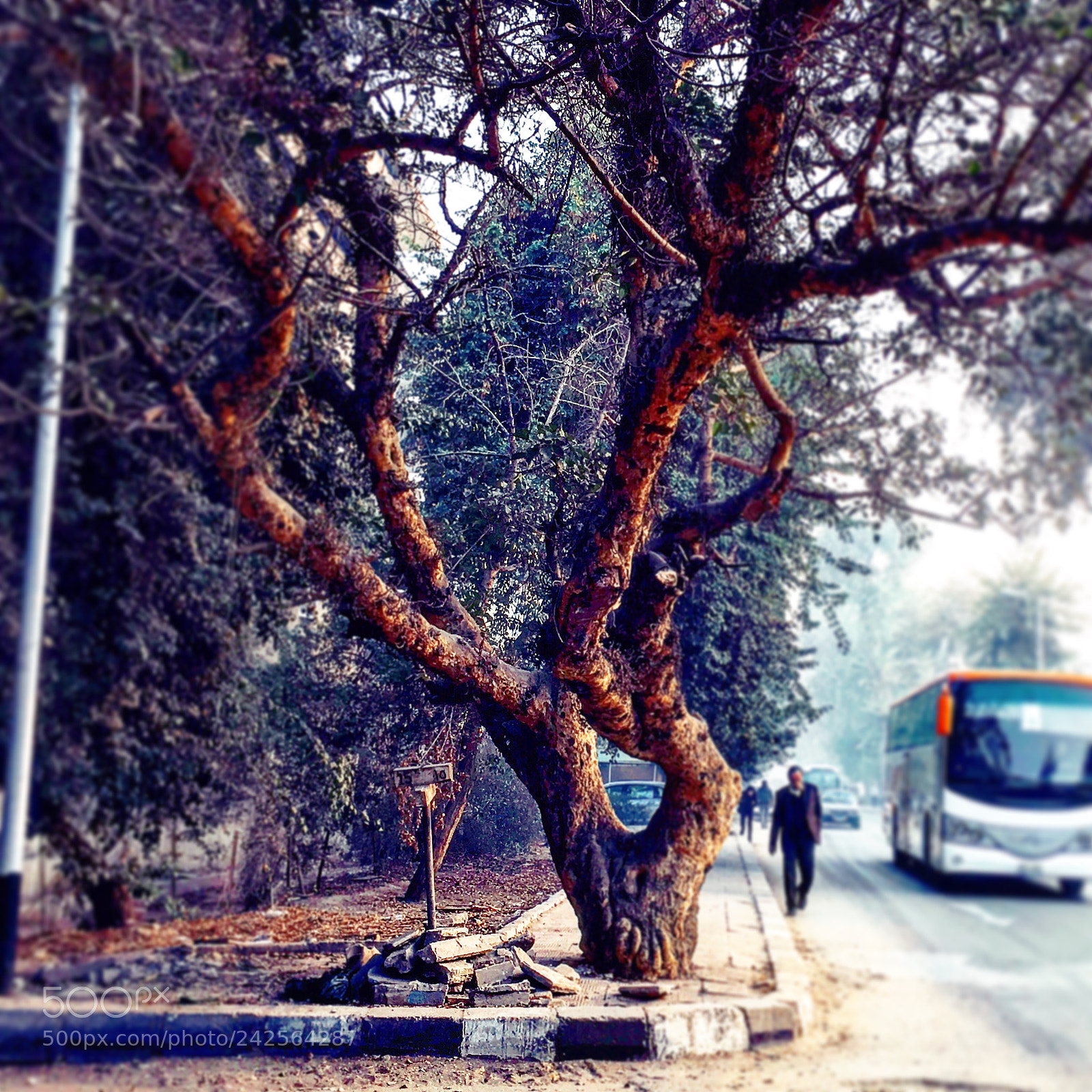 Apple iPhone 6s Plus sample photo. Untitled photography