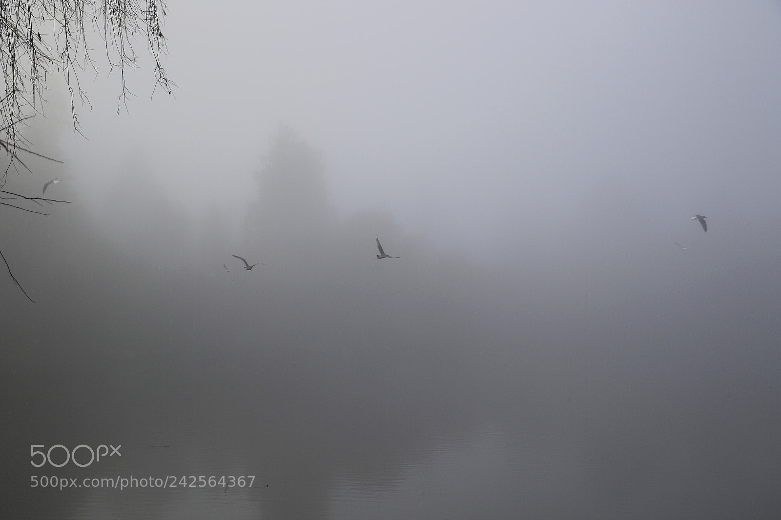 Canon EOS 7D Mark II sample photo. Untitled photography