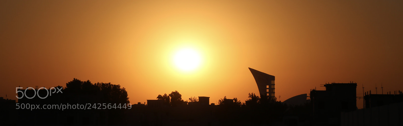 Canon EOS 750D (EOS Rebel T6i / EOS Kiss X8i) sample photo. #uncut photography