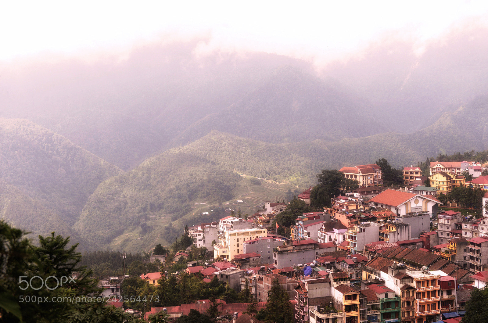 Nikon D800 sample photo. Dawn in sapa photography