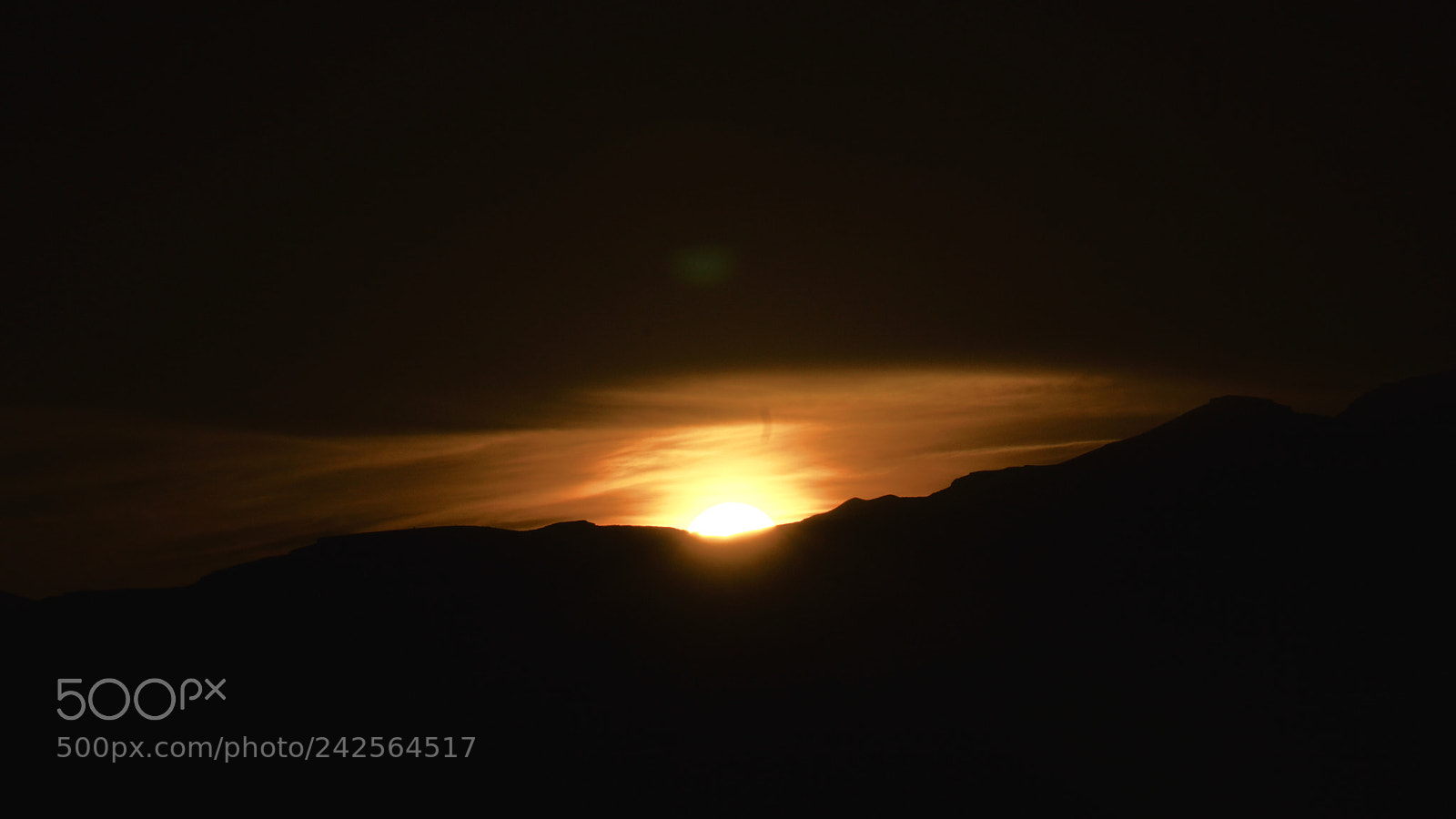 Sony a6300 sample photo. Untitled photography