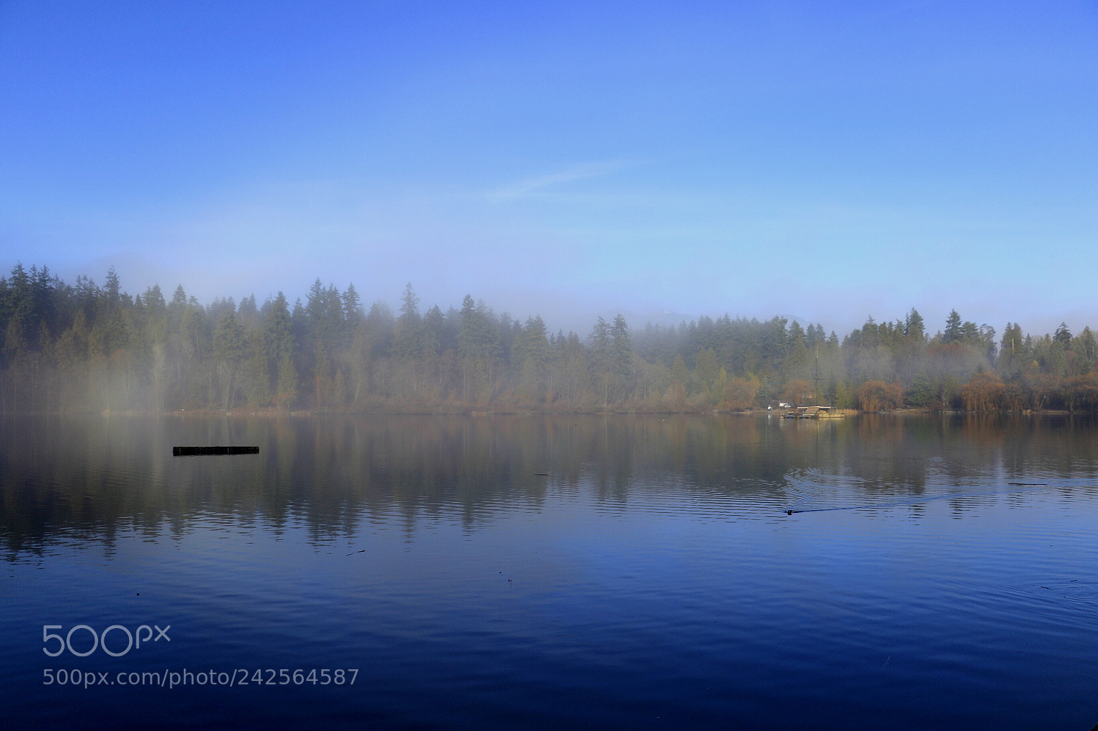 Canon EOS 7D Mark II sample photo. Untitled photography