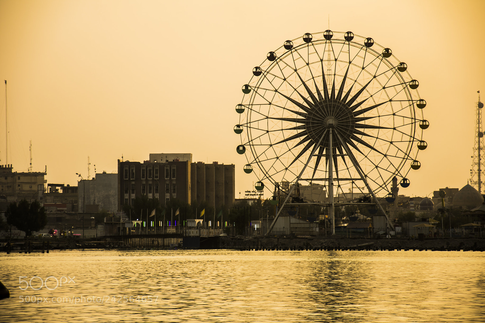 Nikon D7200 sample photo. Untitled photography