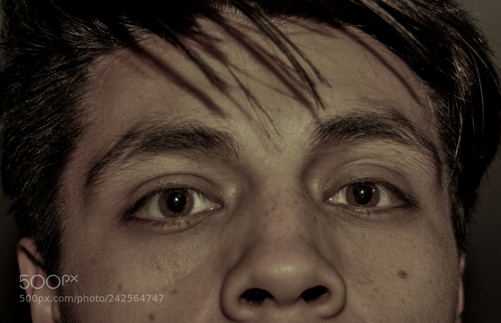 Canon EOS 50D sample photo. En un tono impregna photography