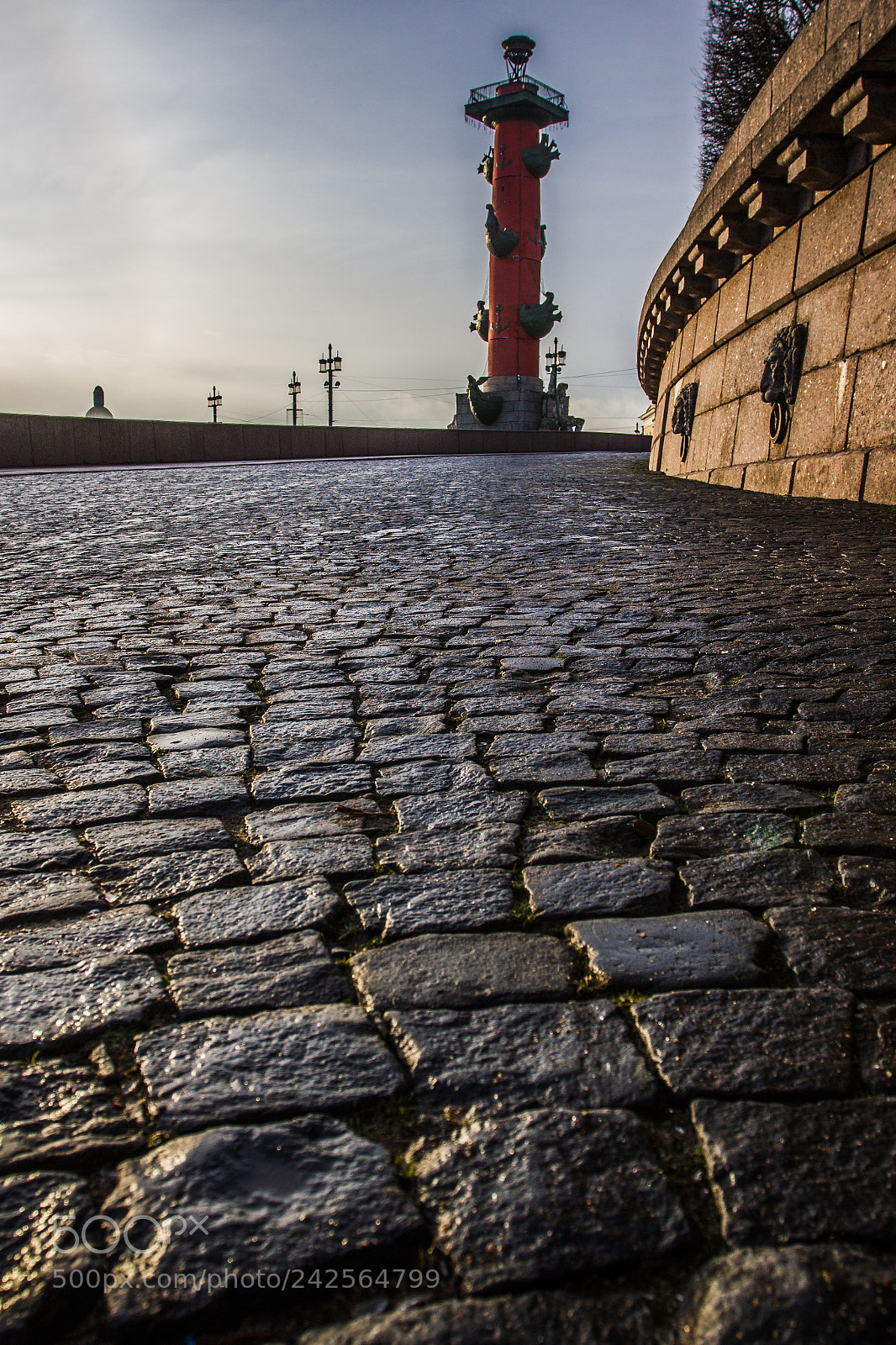 Canon EOS 550D (EOS Rebel T2i / EOS Kiss X4) sample photo. The rostral columns photography
