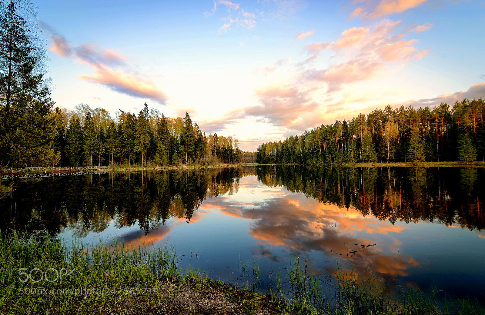 Nikon D600 sample photo. Reflections photography