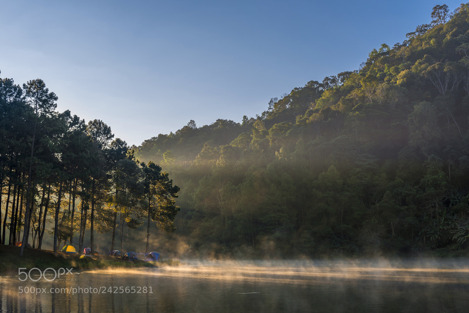 Nikon D800 sample photo. Morning light at pang photography