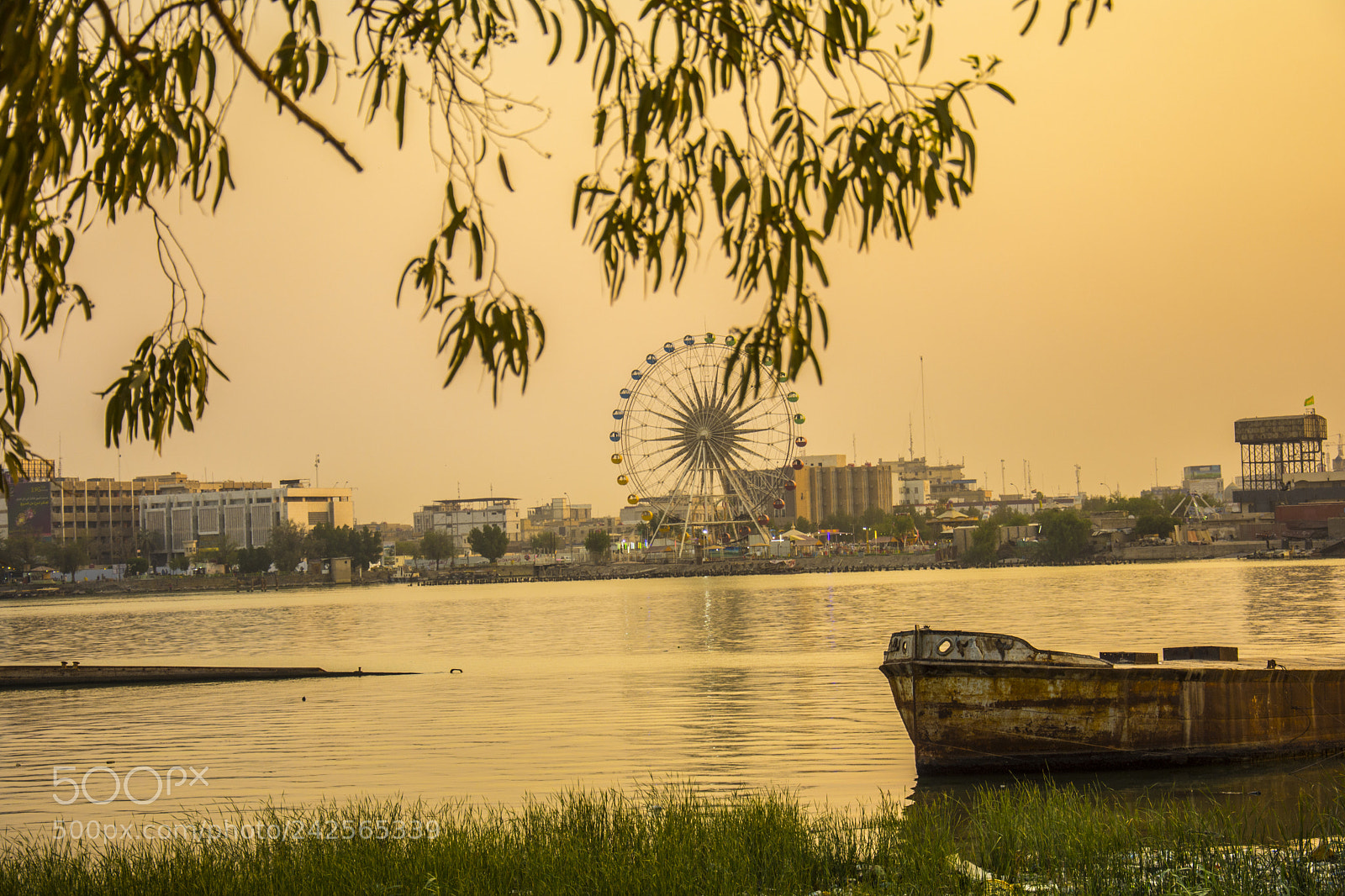 Nikon D7200 sample photo. Untitled photography